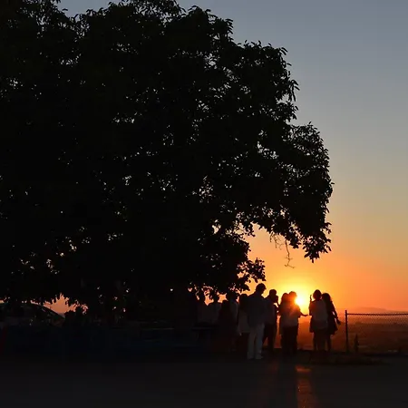 Lantställe Quinta Do Piloto