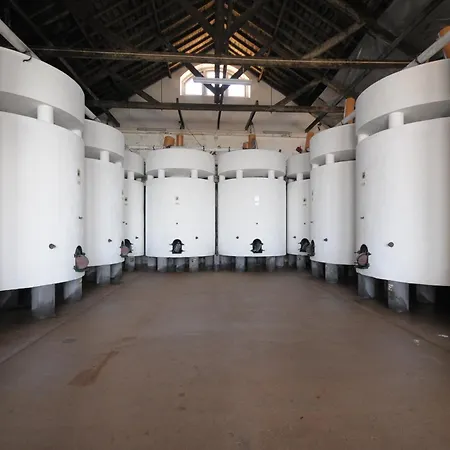 Quinta Do Piloto Lantställe Palmela