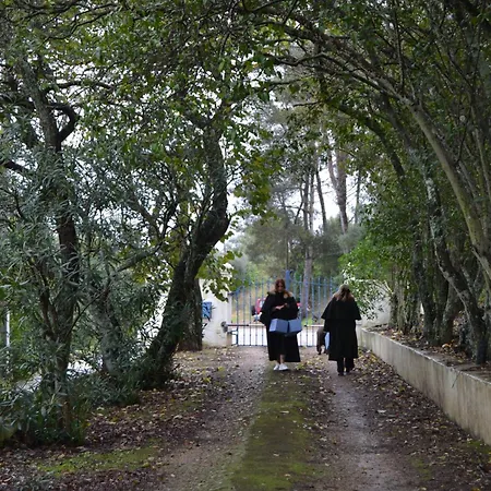 Quinta Do Piloto Landsted *