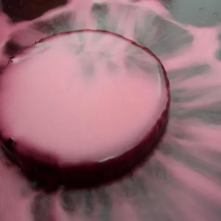 Landsted Quinta Do Piloto *