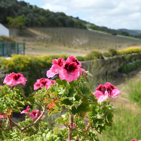 Quinta Do Piloto * Palmela