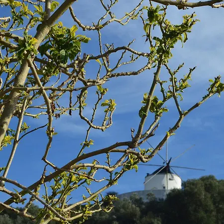 Quinta Do Piloto Palmela