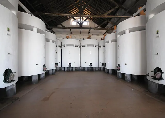 Quinta Do Piloto Casa rural Palmela