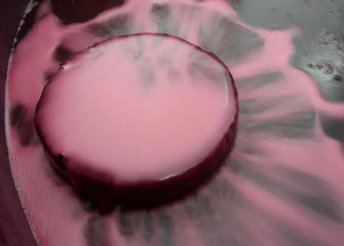 Casa rural Quinta Do Piloto *