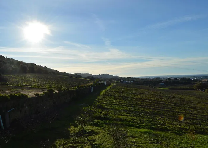 Quinta Do Piloto Casa rural Palmela