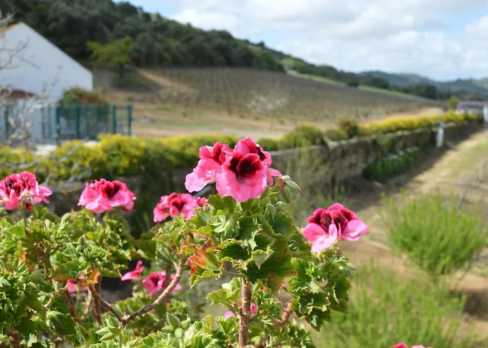 Quinta Do Piloto * Palmela